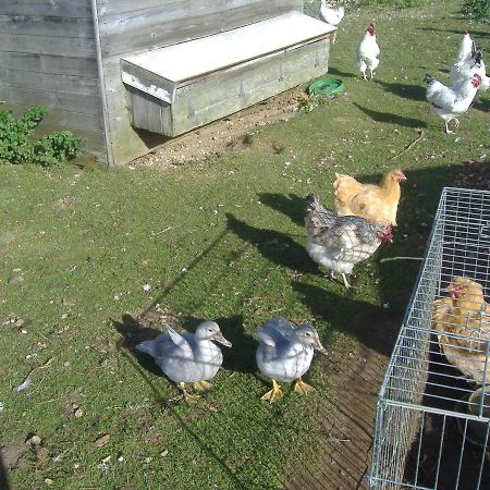 South Moor Farm Acomodação com café da manhã Scarborough Exterior foto
